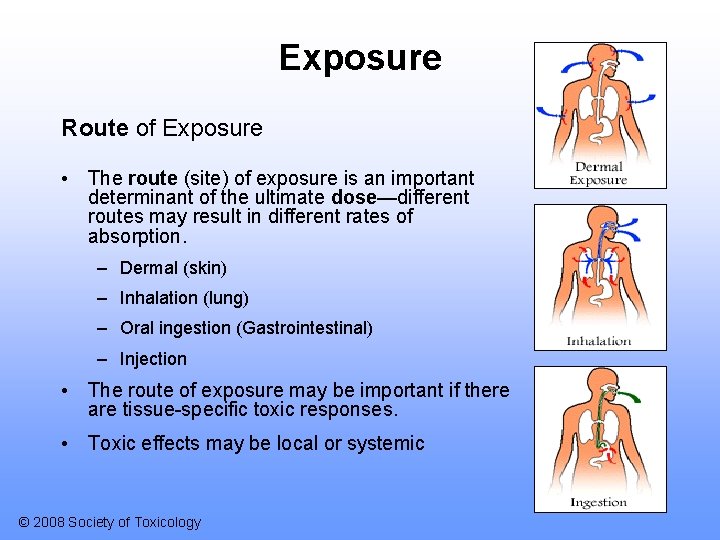 Exposure Route of Exposure • The route (site) of exposure is an important determinant