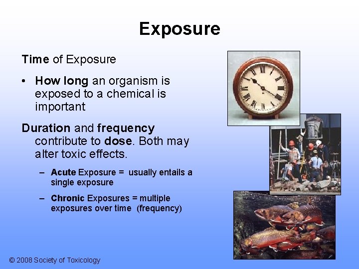 Exposure Time of Exposure • How long an organism is exposed to a chemical