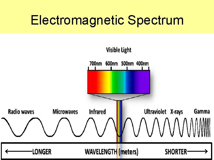 Electromagnetic Spectrum 