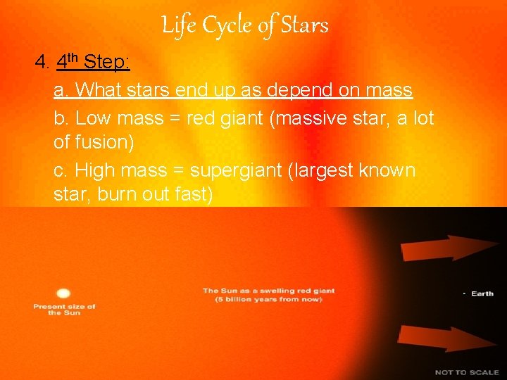 Life Cycle of Stars 4. 4 th Step: a. What stars end up as