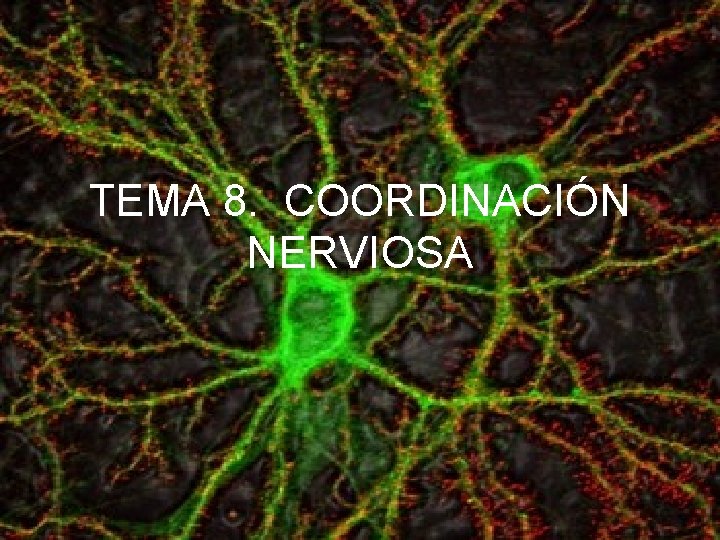 TEMA 8. COORDINACIÓN NERVIOSA 
