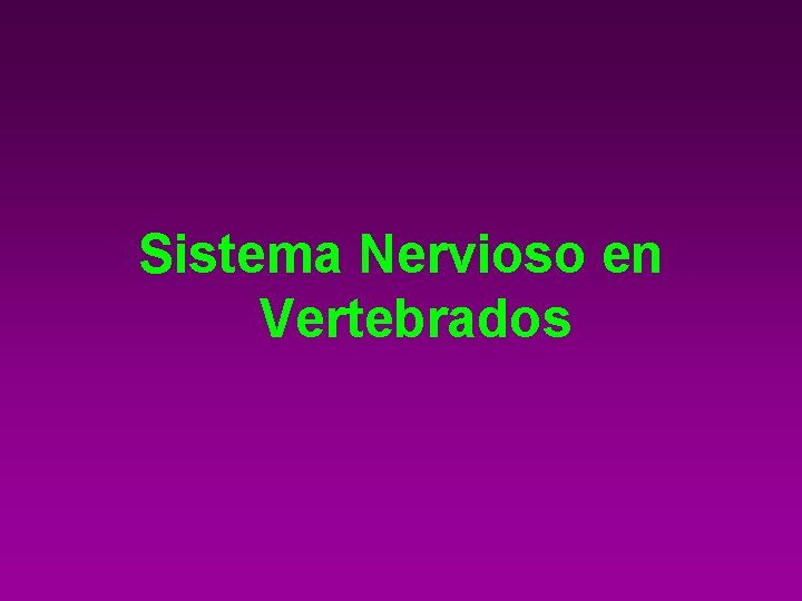 Sistema Nervioso en Vertebrados 