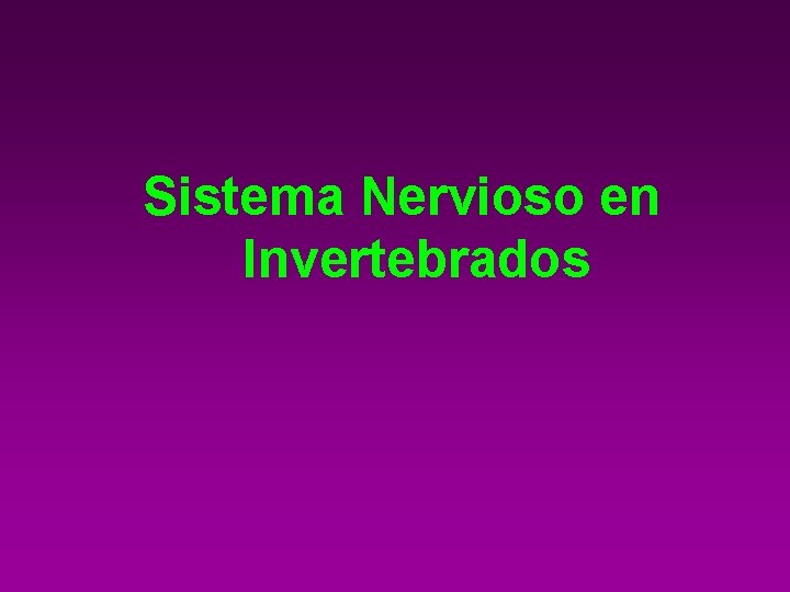 Sistema Nervioso en Invertebrados 