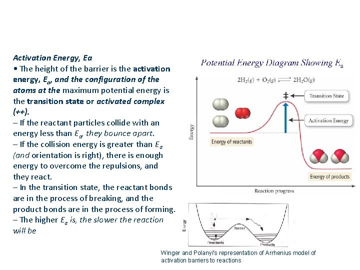 Activation Energy, Ea • The height of the barrier is the activation energy, Ea,