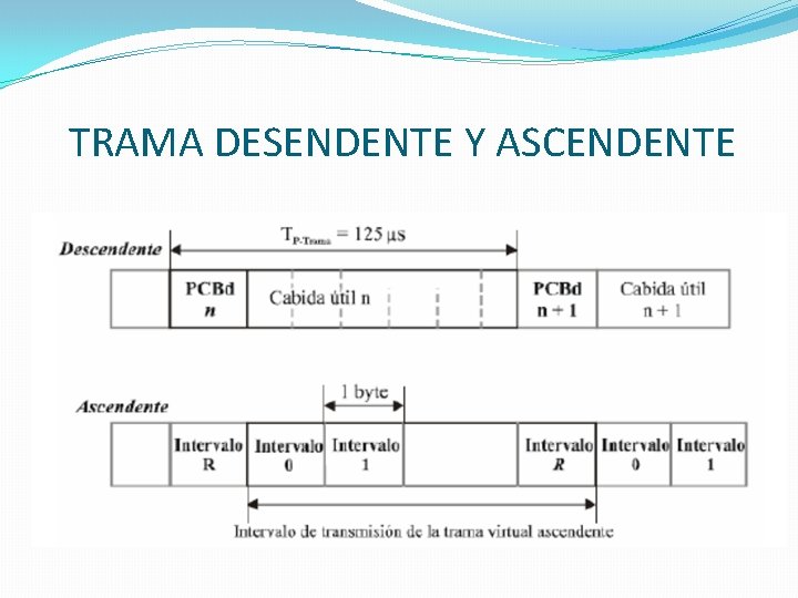 TRAMA DESENDENTE Y ASCENDENTE 