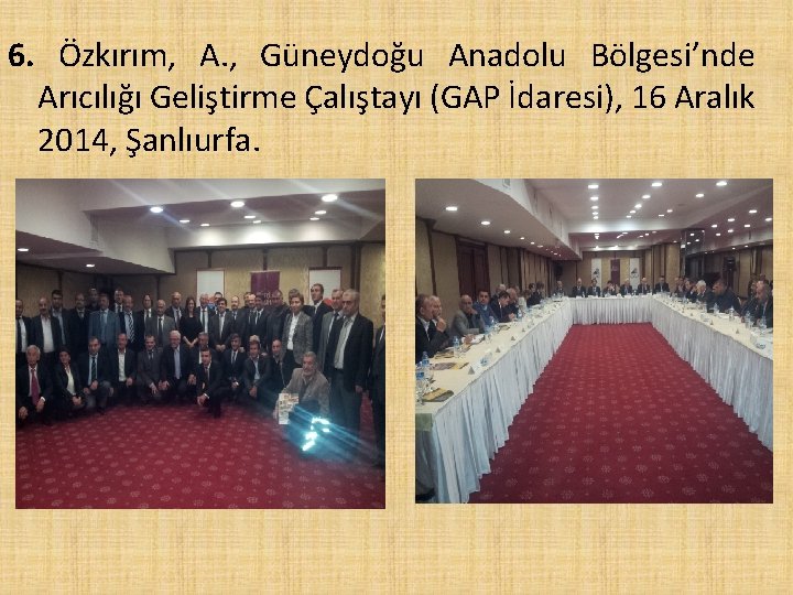6. Özkırım, A. , Güneydoğu Anadolu Bölgesi’nde Arıcılığı Geliştirme Çalıştayı (GAP İdaresi), 16 Aralık