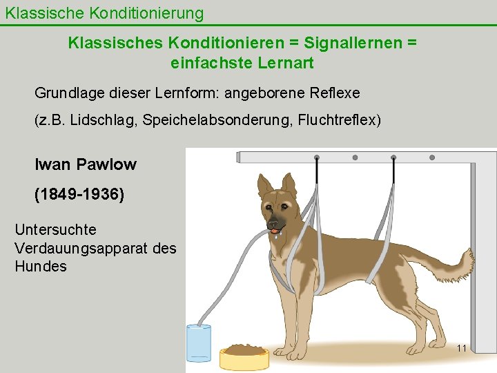 Klassische Konditionierung Klassisches Konditionieren = Signallernen = einfachste Lernart Grundlage dieser Lernform: angeborene Reflexe