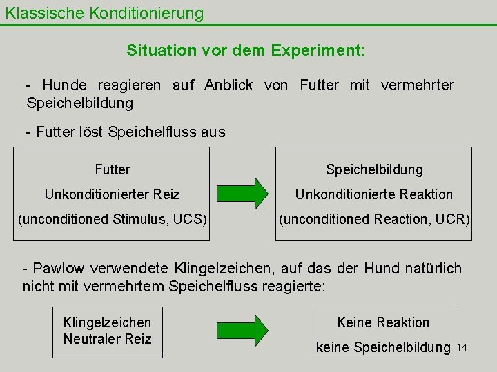 Klassische Konditionierung Situation vor dem Experiment: - Hunde reagieren auf Anblick von Futter mit