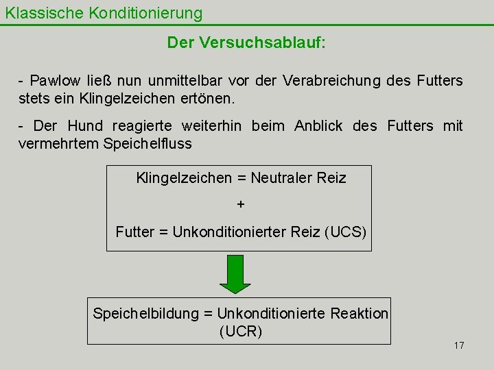 Klassische Konditionierung Der Versuchsablauf: - Pawlow ließ nun unmittelbar vor der Verabreichung des Futters Klassische Konditionierung Der Versuchsablauf: - Pawlow ließ nun unmittelbar vor der Verabreichung des Futters