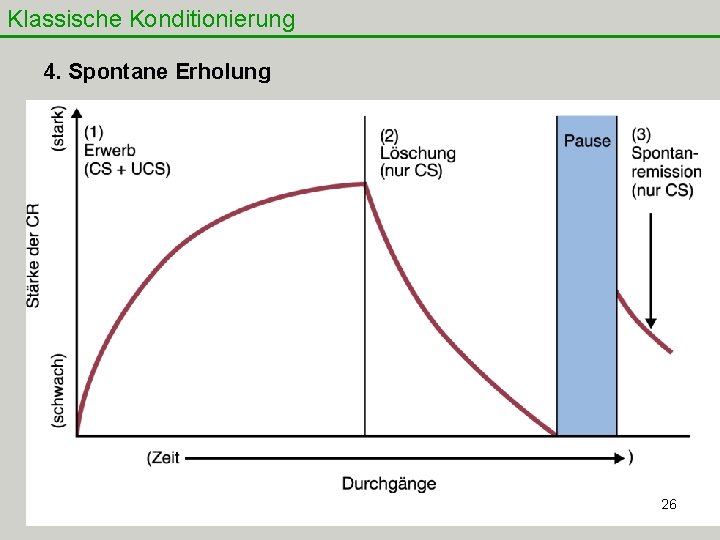 Klassische Konditionierung 4. Spontane Erholung 26 