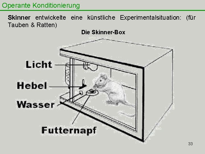 Operante Konditionierung Skinner entwickelte eine künstliche Experimentalsituation: (für Tauben & Ratten) Die Skinner-Box 33