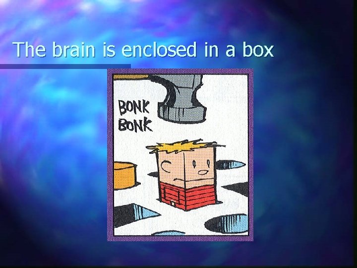 The brain is enclosed in a box 
