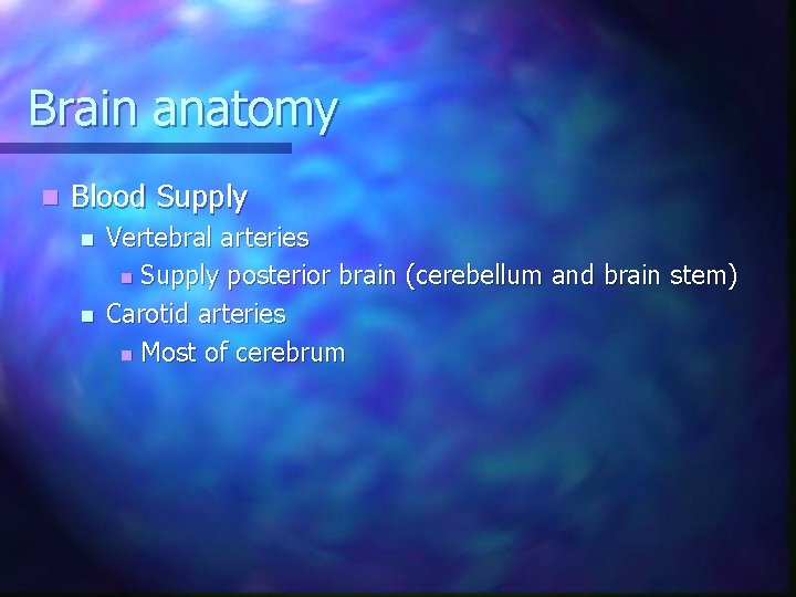 Brain anatomy n Blood Supply n n Vertebral arteries n Supply posterior brain (cerebellum