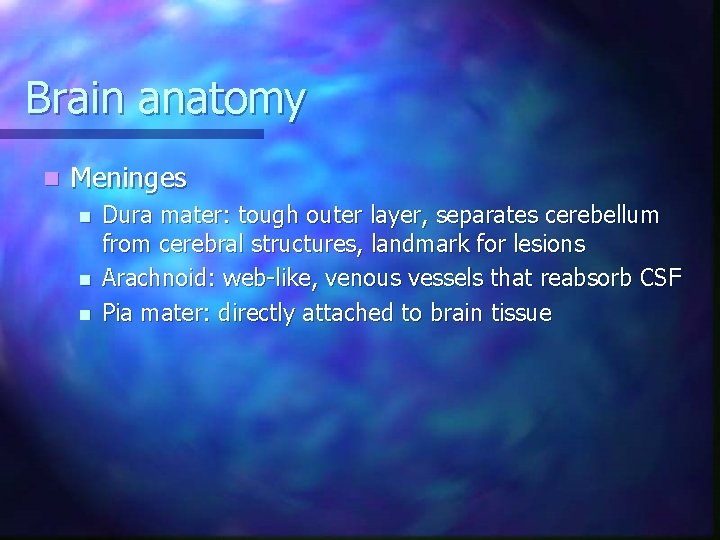 Brain anatomy n Meninges n n n Dura mater: tough outer layer, separates cerebellum