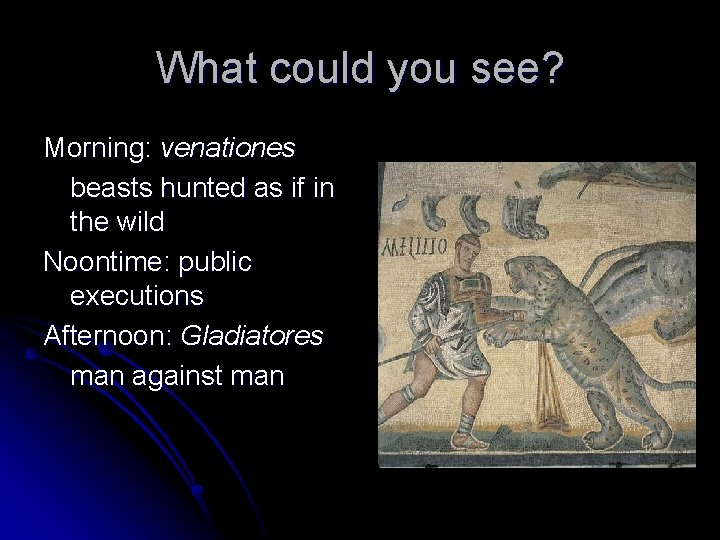 What could you see? Morning: venationes beasts hunted as if in the wild Noontime: