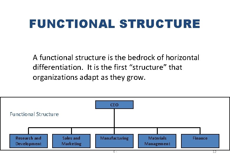 FUNCTIONAL STRUCTURE A functional structure is the bedrock of horizontal differentiation. It is the