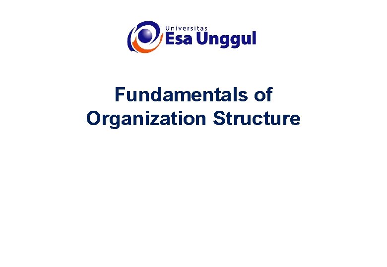 Fundamentals of Organization Structure 