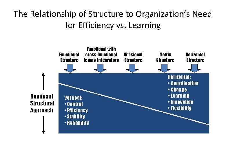 The Relationship of Structure to Organization’s Need for Efficiency vs. Learning Functional Structure Dominant