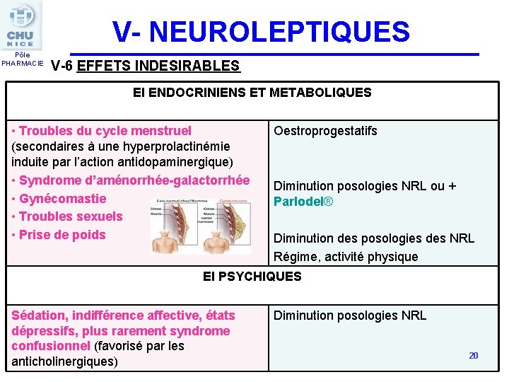 V- NEUROLEPTIQUES Pôle PHARMACIE V-6 EFFETS INDESIRABLES EI ENDOCRINIENS ET METABOLIQUES • Troubles du