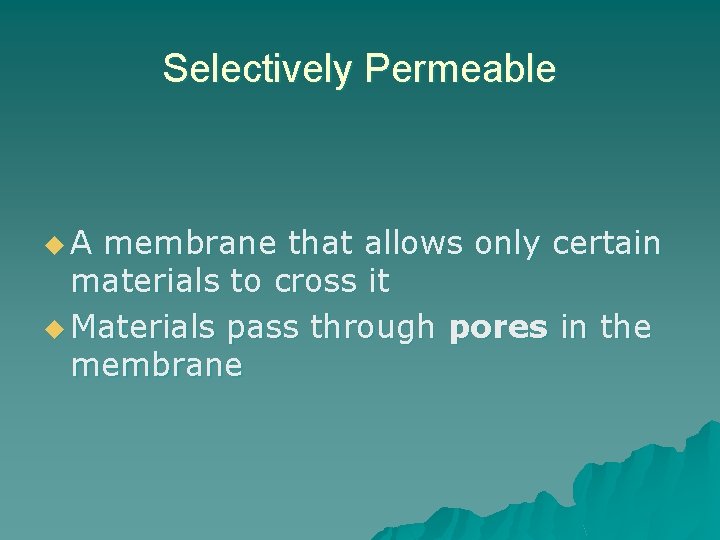 Selectively Permeable u A membrane that allows only certain materials to cross it u