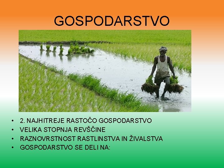 GOSPODARSTVO • • 2. NAJHITREJE RASTOČO GOSPODARSTVO VELIKA STOPNJA REVŠČINE RAZNOVRSTNOST RASTLINSTVA IN ŽIVALSTVA