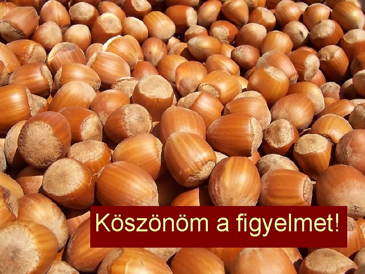 Köszönöm a figyelmet! 