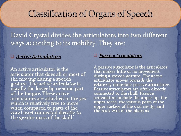 Classification of Organs of Speech David Crystal divides the articulators into two different ways Classification of Organs of Speech David Crystal divides the articulators into two different ways