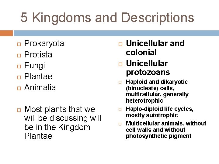 5 Kingdoms and Descriptions Prokaryota Protista Fungi Plantae Animalia Most plants that we will
