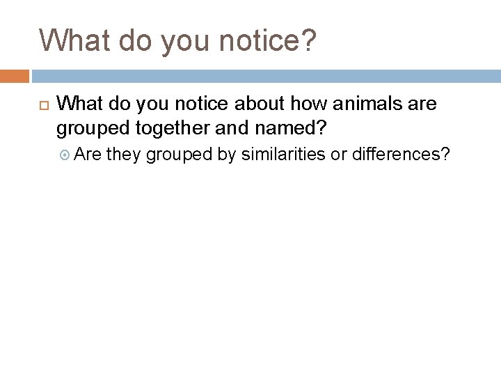 What do you notice? What do you notice about how animals are grouped together