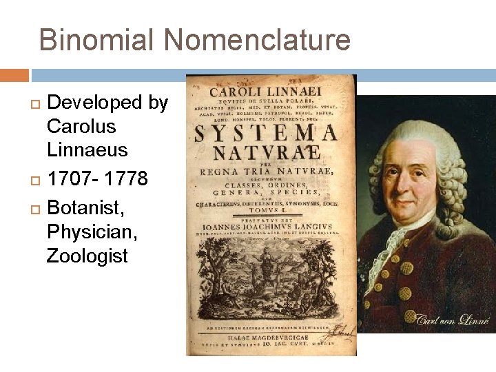 Binomial Nomenclature Developed by Carolus Linnaeus 1707 - 1778 Botanist, Physician, Zoologist 