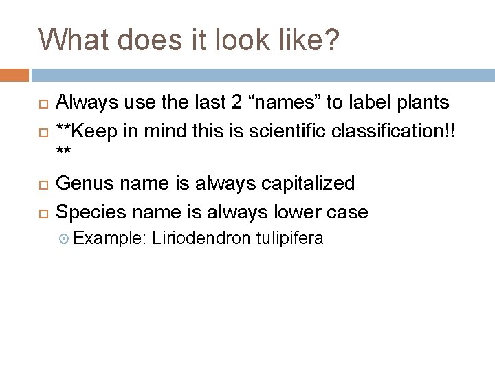 What does it look like? Always use the last 2 “names” to label plants