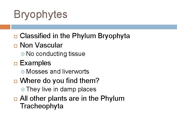 Bryophytes Classified in the Phylum Bryophyta Non Vascular No conducting tissue Examples Mosses Where