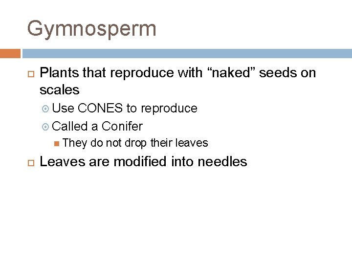 Gymnosperm Plants that reproduce with “naked” seeds on scales Use CONES to reproduce Called
