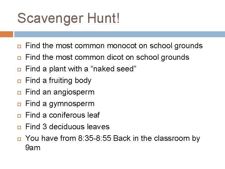 Scavenger Hunt! Find the most common monocot on school grounds Find the most common