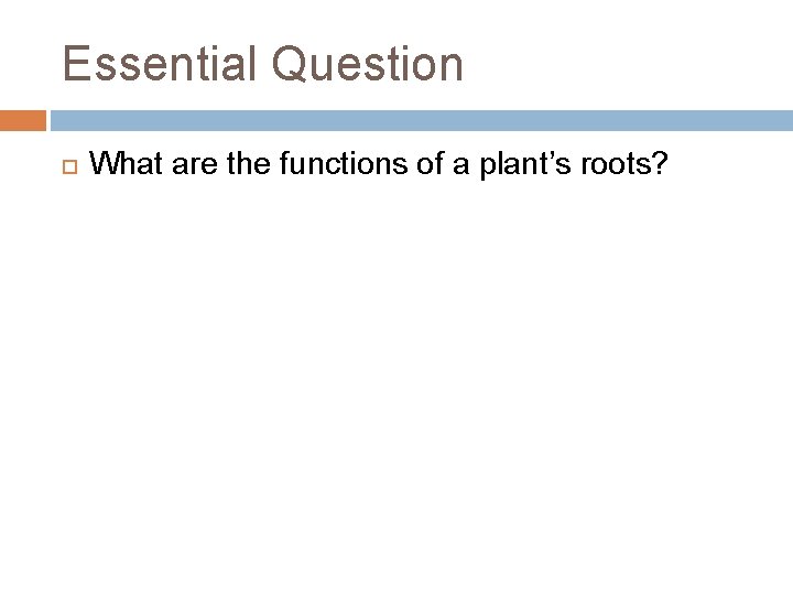 Essential Question What are the functions of a plant’s roots? 