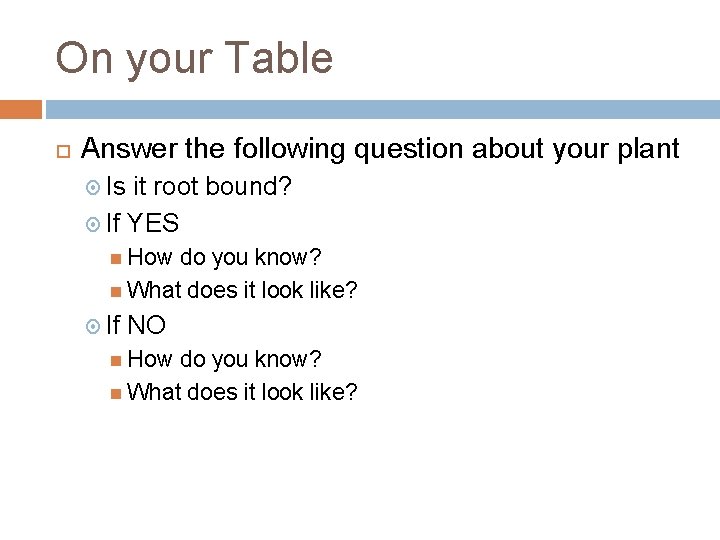On your Table Answer the following question about your plant Is it root bound?