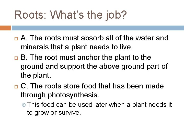 Roots: What’s the job? A. The roots must absorb all of the water and