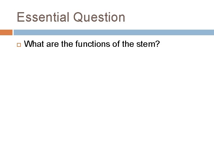 Essential Question What are the functions of the stem? 