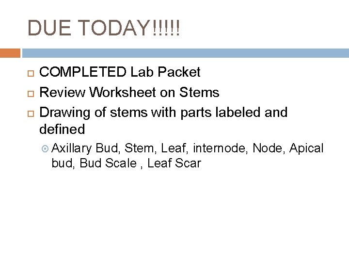 DUE TODAY!!!!! COMPLETED Lab Packet Review Worksheet on Stems Drawing of stems with parts