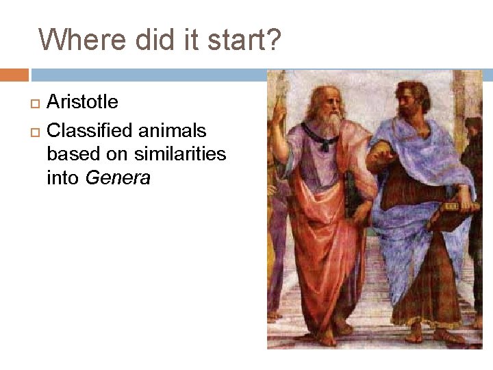 Where did it start? Aristotle Classified animals based on similarities into Genera 