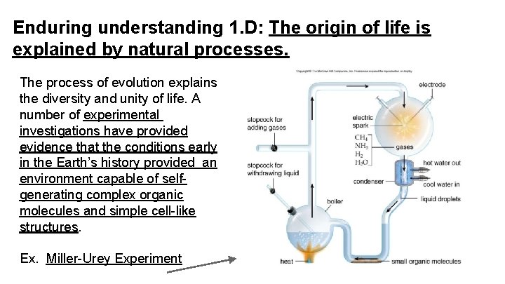 Enduring understanding 1. D: The origin of life is explained by natural processes. The Enduring understanding 1. D: The origin of life is explained by natural processes. The