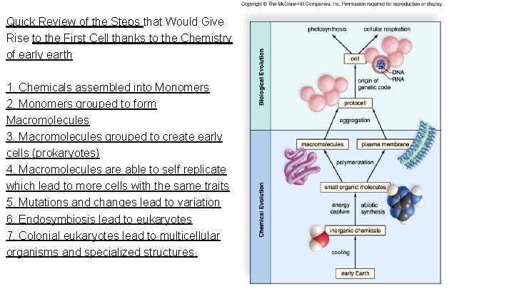 Quick Review of the Steps that Would Give Rise to the First Cell thanks Quick Review of the Steps that Would Give Rise to the First Cell thanks