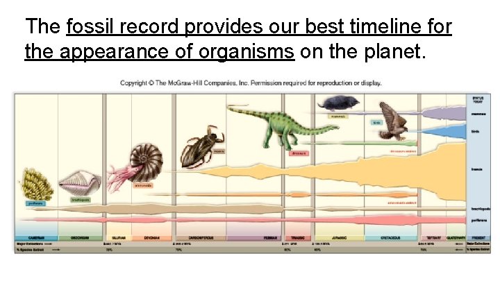 The fossil record provides our best timeline for the appearance of organisms on the The fossil record provides our best timeline for the appearance of organisms on the