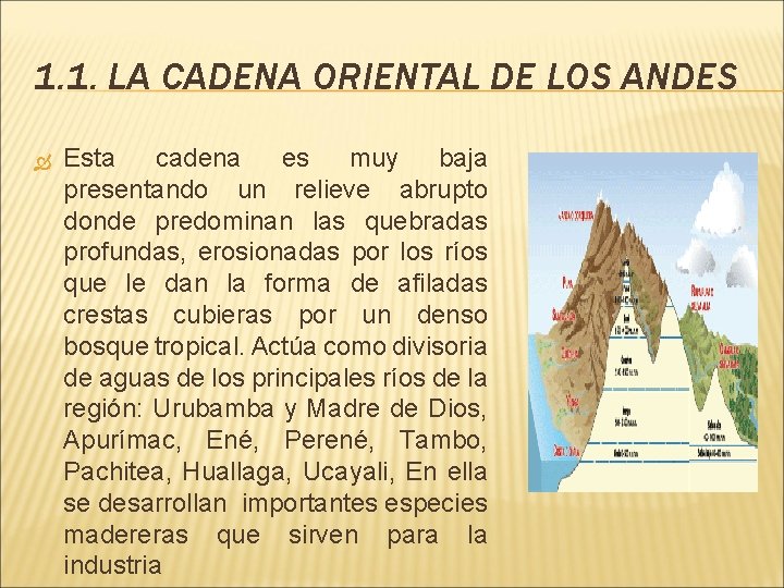 1. 1. LA CADENA ORIENTAL DE LOS ANDES Esta cadena es muy baja presentando