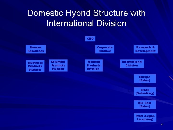 Domestic Hybrid Structure with International Division CEO Human Resources Electrical Products Division Corporate Finance