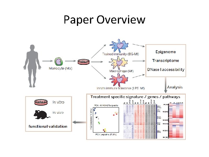 Paper Overview 