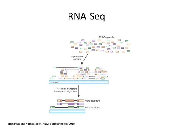 RNA-Seq Brian Haas and Micheal Zody, Nature Biotechnology 2010 