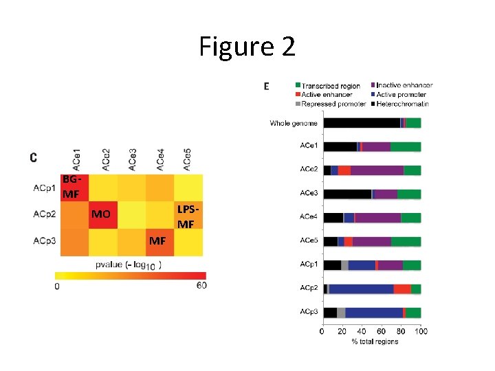 Figure 2 BGMF LPSMF MO MF 