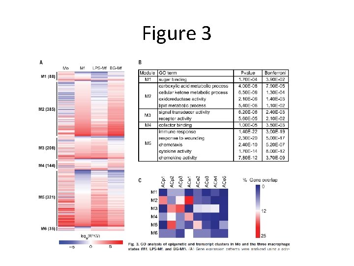 Figure 3 