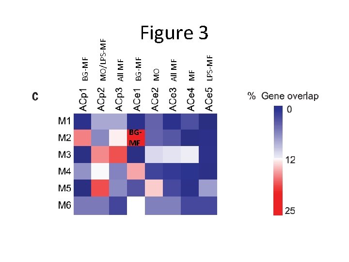 BGMF LPS-MF MF All MF MO BG-MF All MF MO/LPS-MF BG-MF Figure 3 